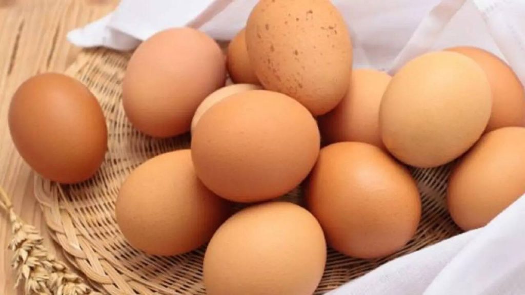 “Egg shortage crisis hits U.S. as avian flu decimates 17.2 million hens, causing price hikes and supply chain issues”